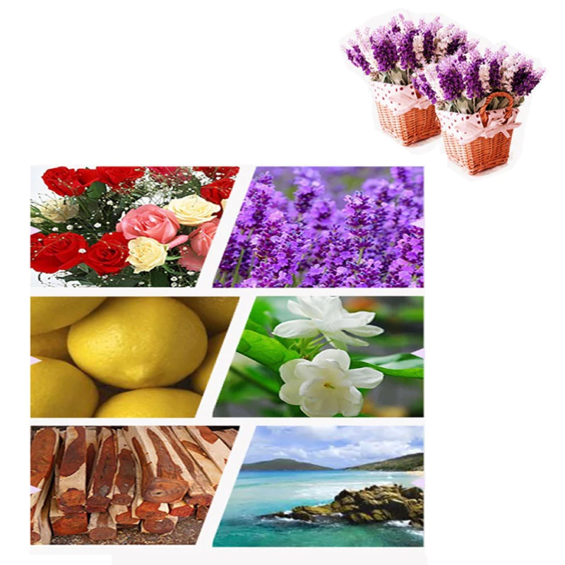 Set Essential Oil Aromatherapy Pure Aroma Fragrance Isi 12 Pcs — 6