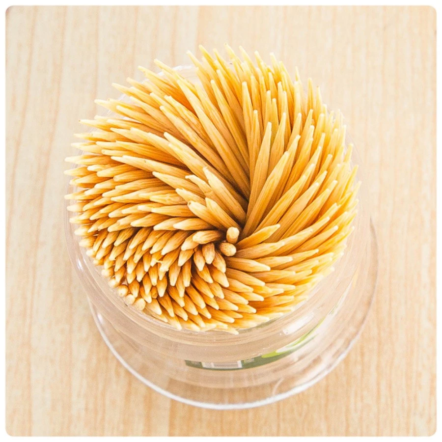 Tusuk Gigi Bambu Dengan Tempat Holder Toothpick Dispenser — 7